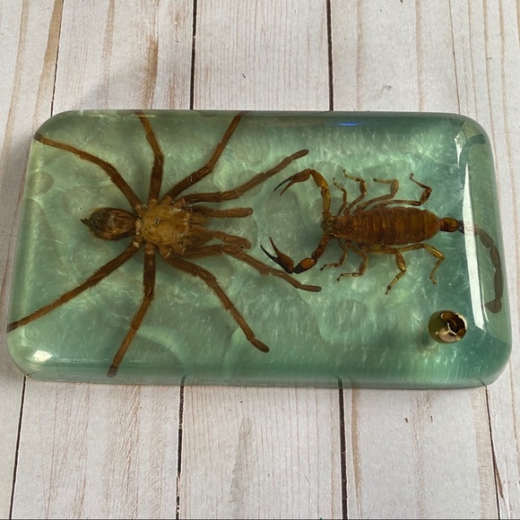 Vintage Other - Vintage resin tarantula & scorpion pen holder